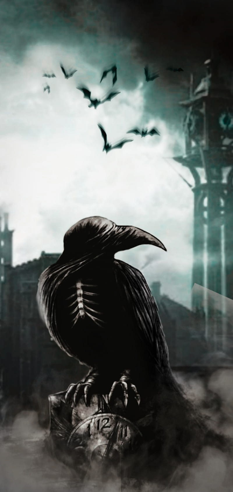 Crow, crows, movies, HD phone wallpaper | Peakpx