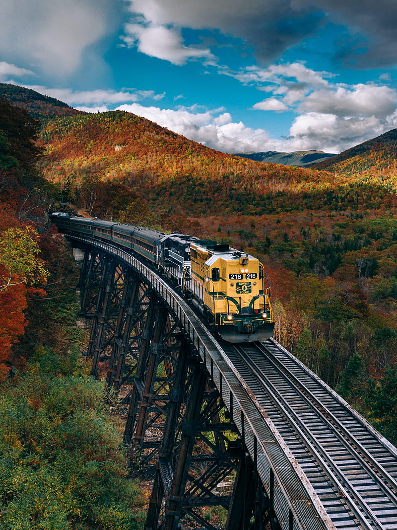 train, railroad, autumn, trees, HD phone wallpaper