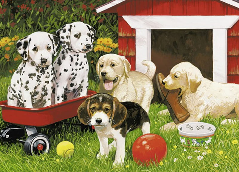 Puppy Party, Puppy, Party, garden, animals, HD wallpaper