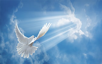 Heaven HD Wallpapers and Backgrounds