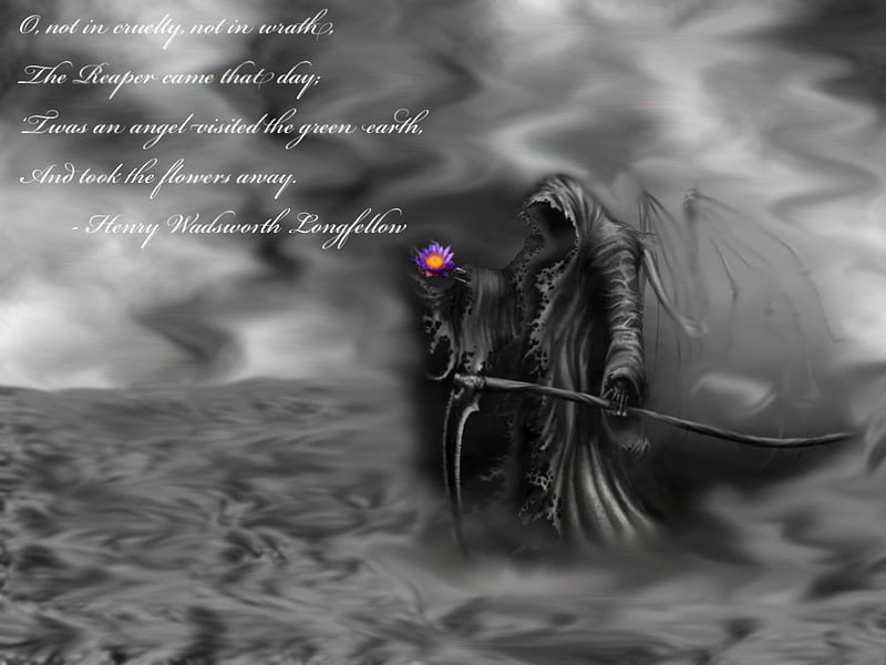 reaper, death, black, cape, quote, dark, gris, cloak, flower, HD wallpaper