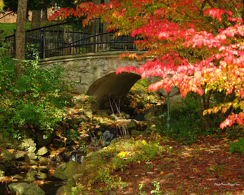 No Troll Under The Bridge, autumn, water, bridge, color, flora, HD ...