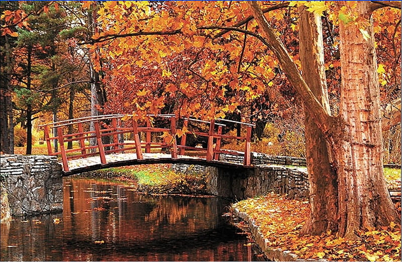 Autumn Bridge Colorful Fall Autumn Leaves Bridge Trees Lake Hd Wallpaper Peakpx 