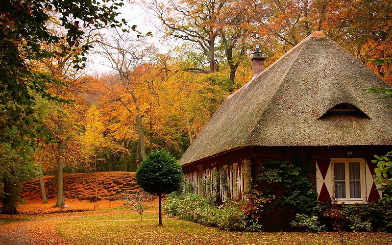 cosy home autumn house-Nature, HD wallpaper
