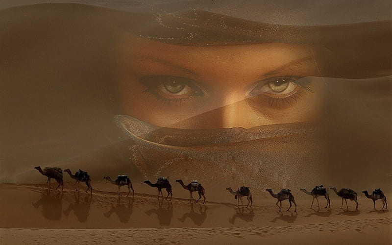 Caravan in desert, sand, expression, new, color, eyes, HD wallpaper