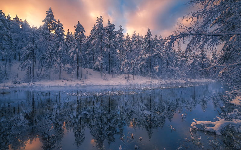 winter, frozen river, evening, sunset, forest, winter landscape, snow, HD wallpaper