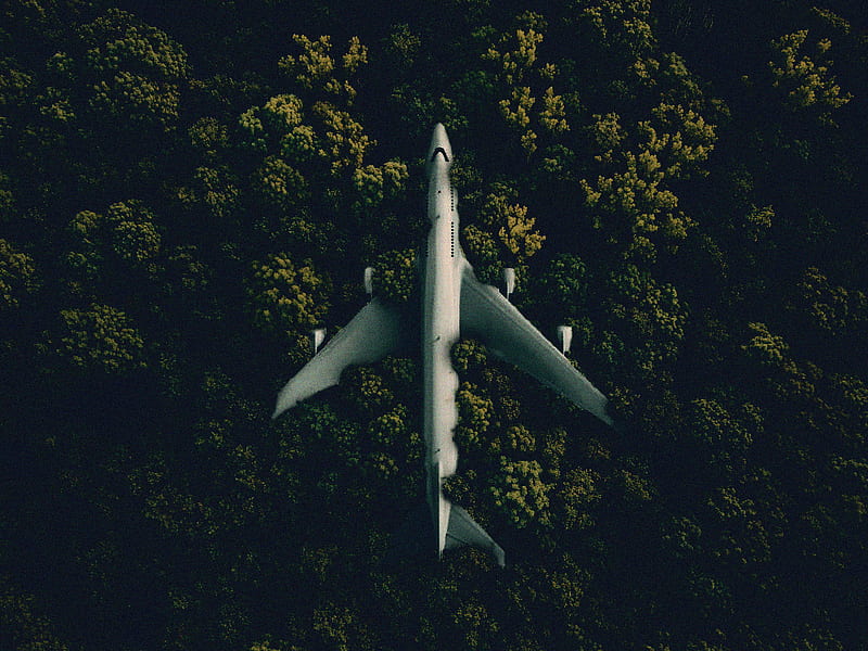 Abandoned Plane, black, forest, huawei, iphone, jet, jets, nature, planes, samsung, HD wallpaper