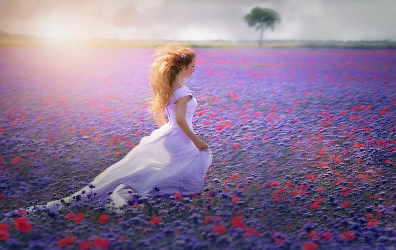 Summer Girl, flowers, nature, girl, field, HD wallpaper