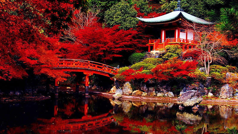 Autumn in japanese garden, fall, red, colorful, autumn, house, cottage, cabin, foliage, river, reflection, forest, calmness, japanese, park, trees, lake, serenity, pagoda, garden, HD wallpaper