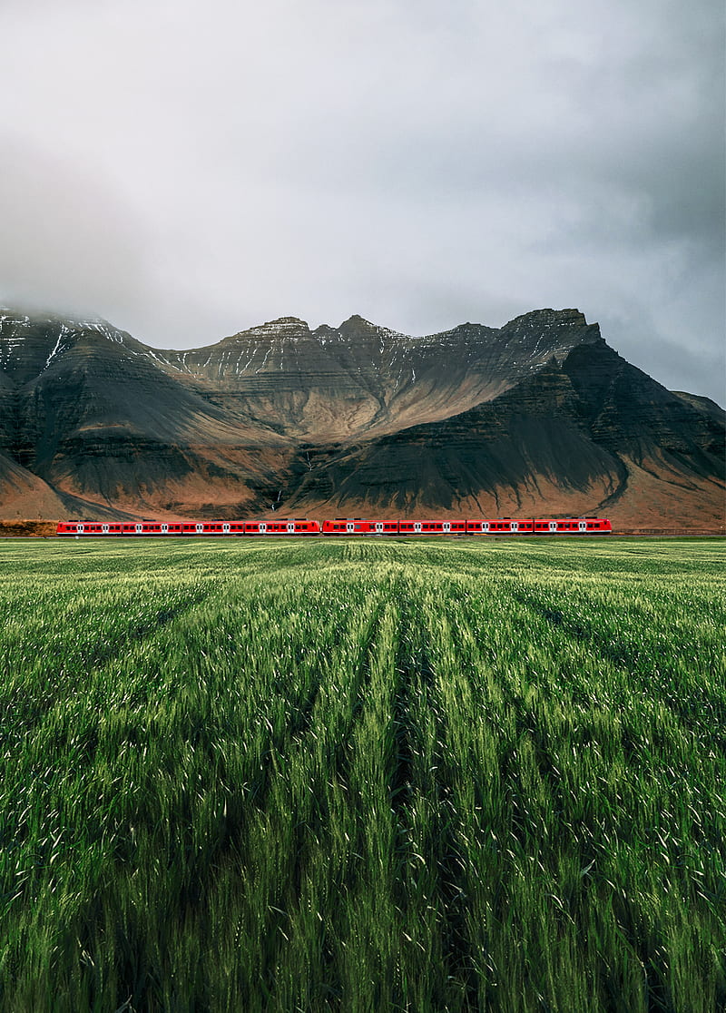 mountains, rocks, train, grass, fog, HD phone wallpaper