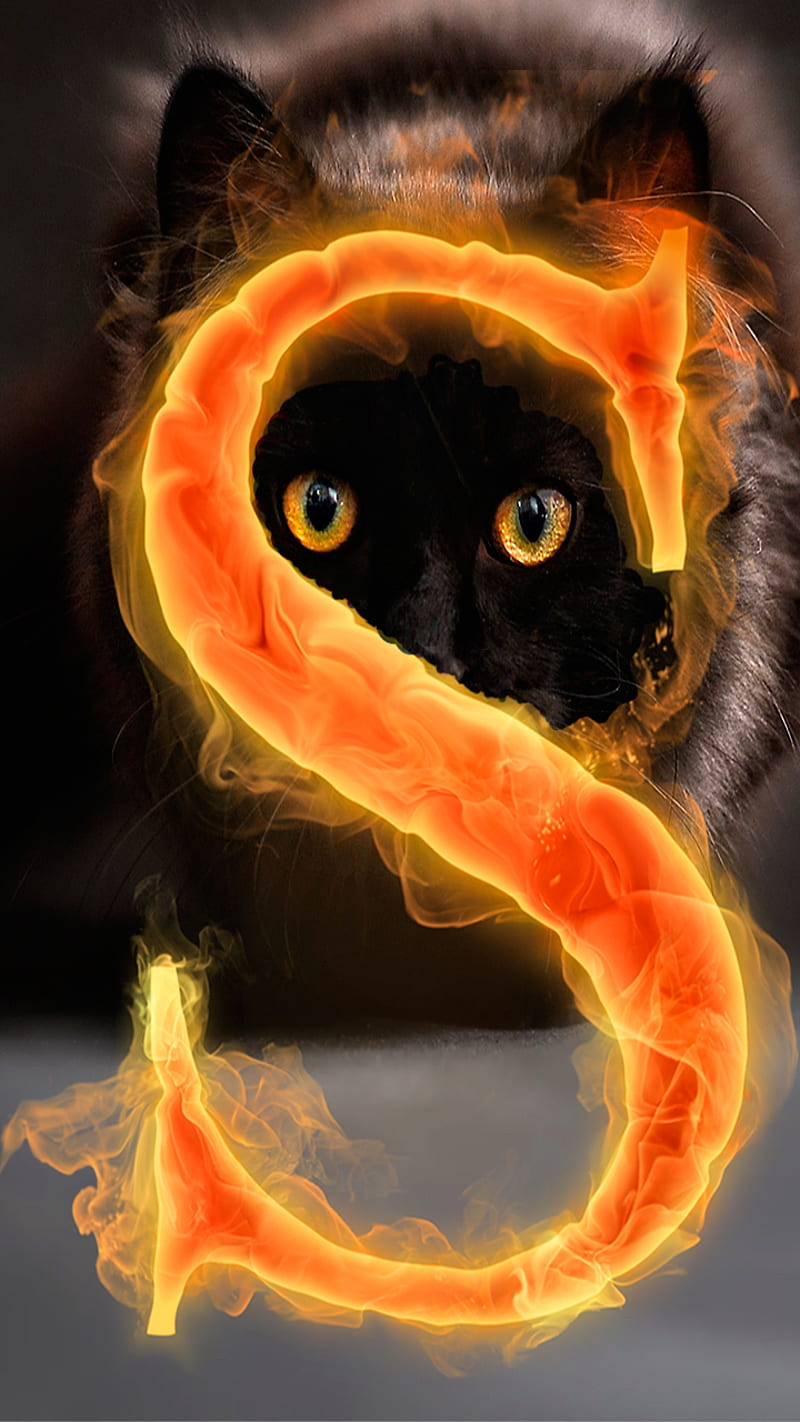 Letter S and cat, alphabet, animals, black, fire, look, text, HD phone  wallpaper | Peakpx