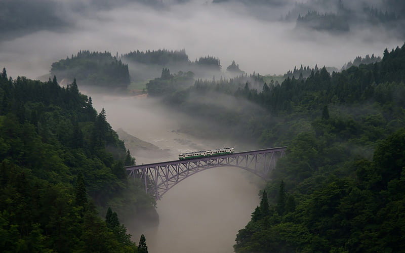 train on a rail bridge over a river gorge in fog, train, bridge, gorge, river, forests, fog, HD wallpaper