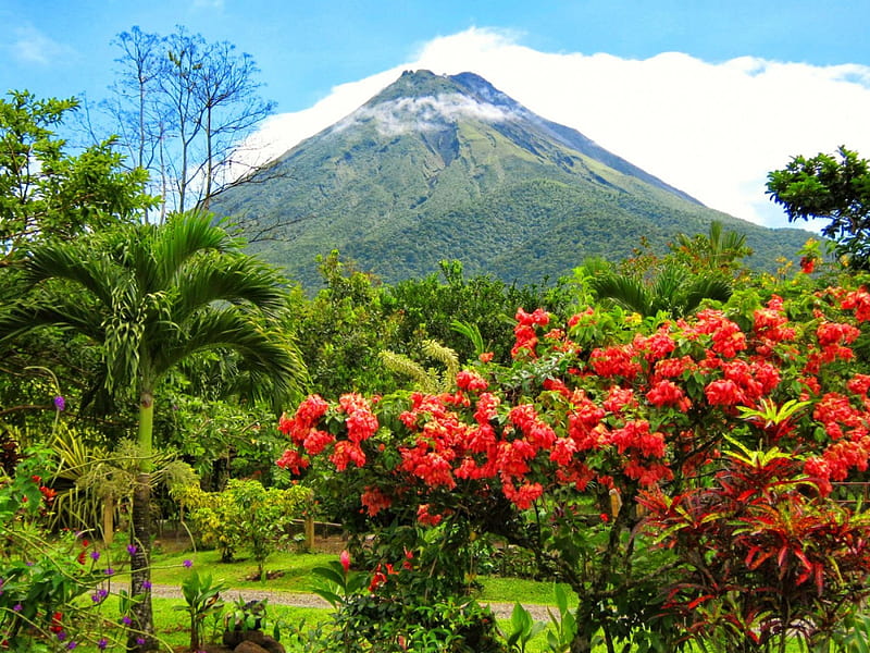 Costa Rica volcano, exotic, bonito, park, trees, sky, volcano, Costa Rica, mountain, national park, flowers, garden, nature, HD wallpaper
