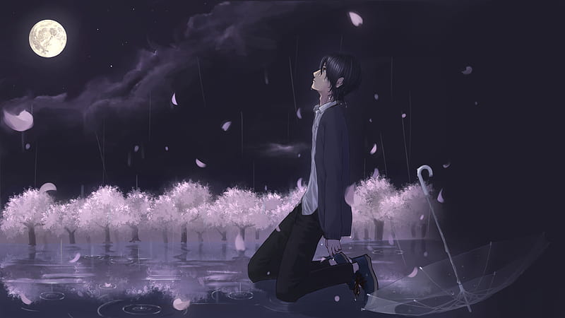 Anime boy, sadness, crying, teary eyes, moon, raining, petals, Anime, HD  wallpaper | Peakpx