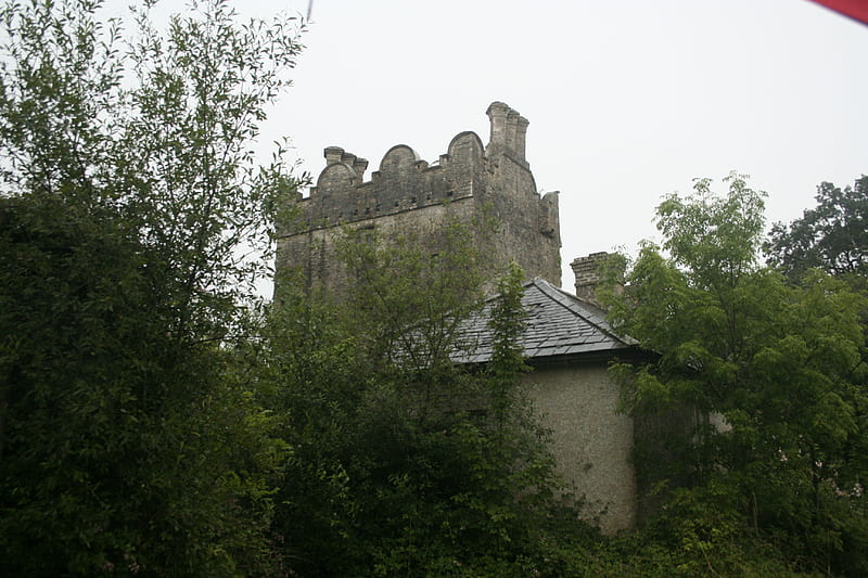 Grange Castle, Ireland, Structure, Castle, woods, Irish, HD wallpaper
