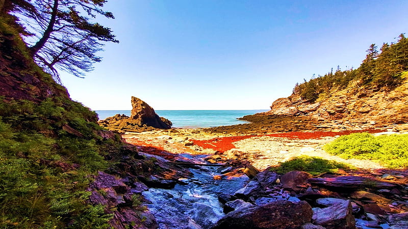 Shark Rock Beach near Saint John, New Brunswick, sky, tree, sea, landscape, canada, rock, HD wallpaper