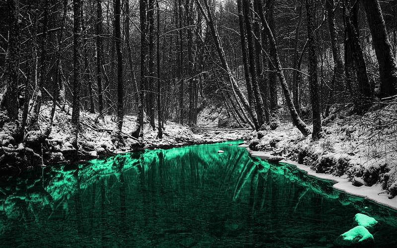 winter, forest, emerald river, monochrome, HD wallpaper