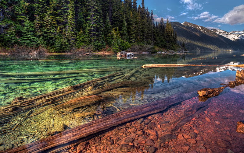 Lake Garibaldi, Canada, water, stones, trees, wood, landscape, HD wallpaper