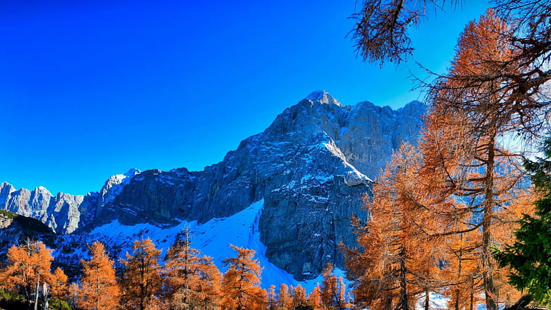 wonderful mountainscape in late autumn, mountain, autumn, cliffs, snow, trees, HD wallpaper