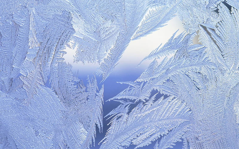 frosted window close up-Winter natural landscape, HD wallpaper