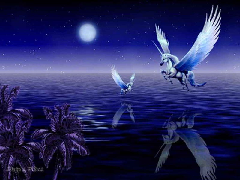 Pegasus Reflection, fantasy, pegasus, moon, water, unicorn, reflection, night, HD wallpaper