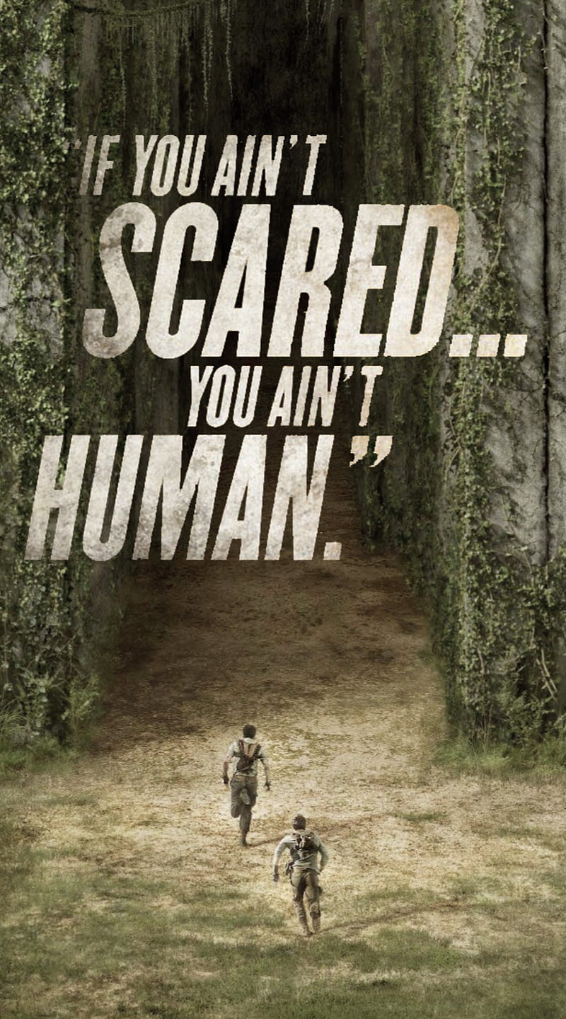 QUOTES FROM THE MAZE RUNNER –