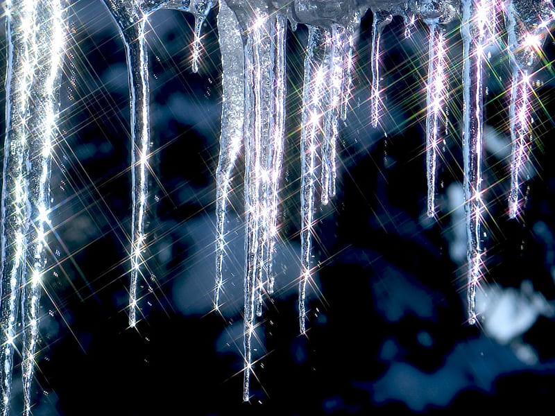 Icicles, water, ice, drops, shards, frozen, glisten, light, HD wallpaper
