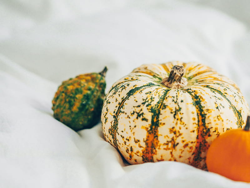 green and yellow pumpkin on white textile, HD wallpaper