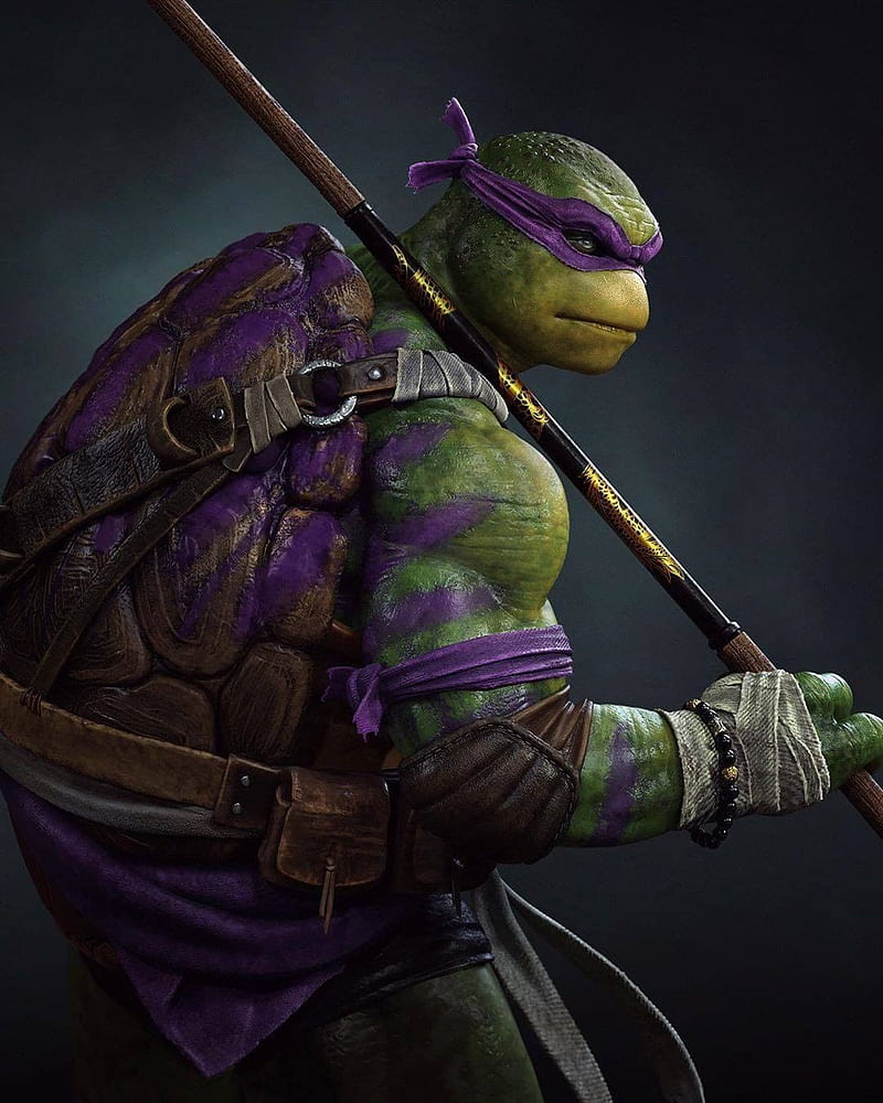 Ninja Turtle, awesome, best, cartoon, cute, mobile, tortoise, HD phone wallpaper