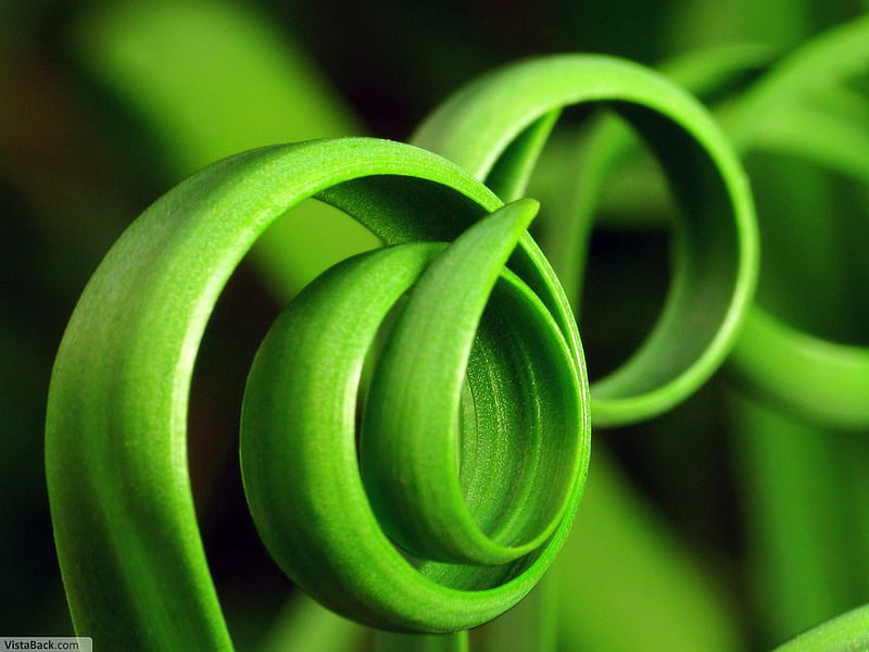 greenhoops