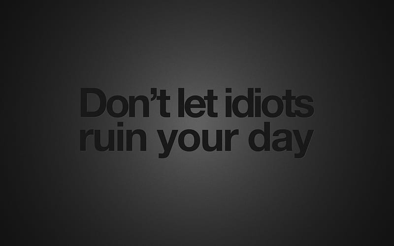 Don't Let Idiots Ruin Your Day, gradient, text, gray, grey background, quotes, typography, HD wallpaper