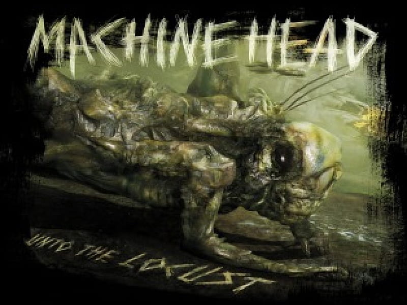 Machine Head - Unto The Locust, Unto The Locust, Metal, Machine Head, Heavy Metal, HD wallpaper