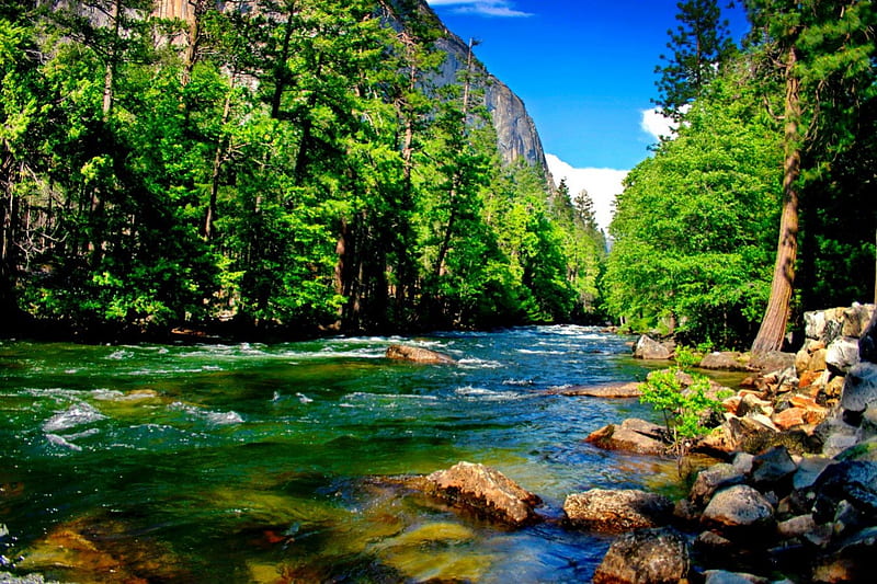 Mountain river, stream, rocks, riverbank, shore, flow, bonito, mountain, nice, calm, stones, peaks, river, lovely, greenery, creek, sky, trees, serenity, nature, HD wallpaper