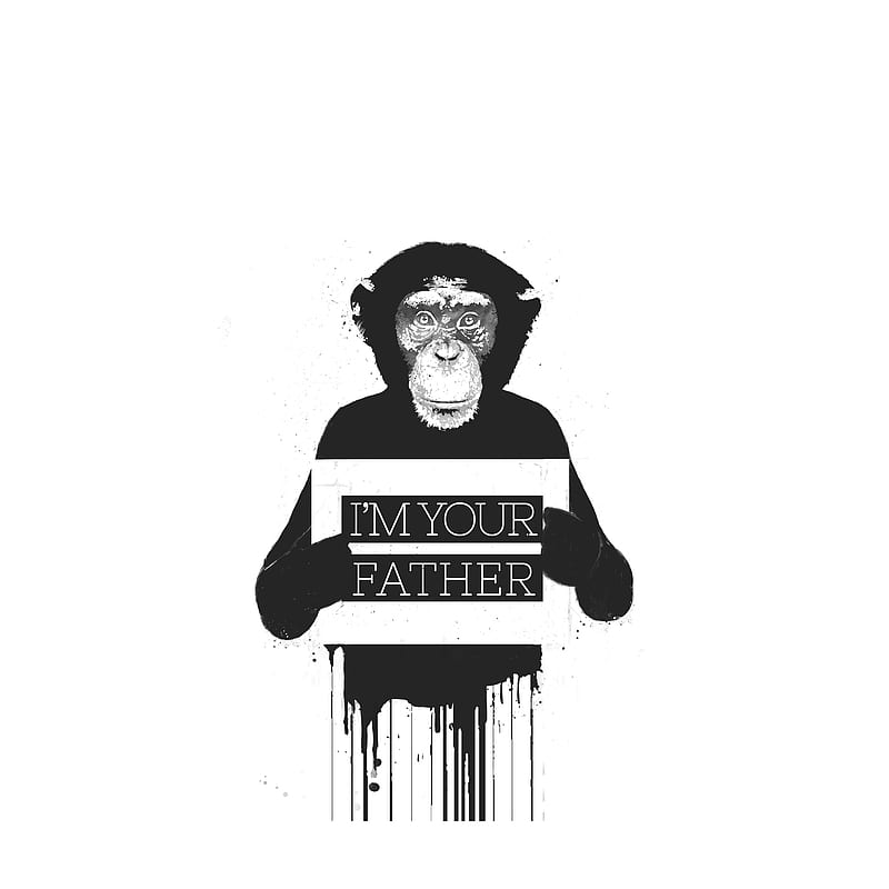 I'm your father II, Balazs, animals, black and white, classic, graffiti, monkey, pop culture, quote, street art, typography, HD phone wallpaper