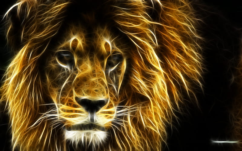 another lion, king, pretty, boss, leader, lion, animal, wild, jungle, beauty, fur, HD wallpaper