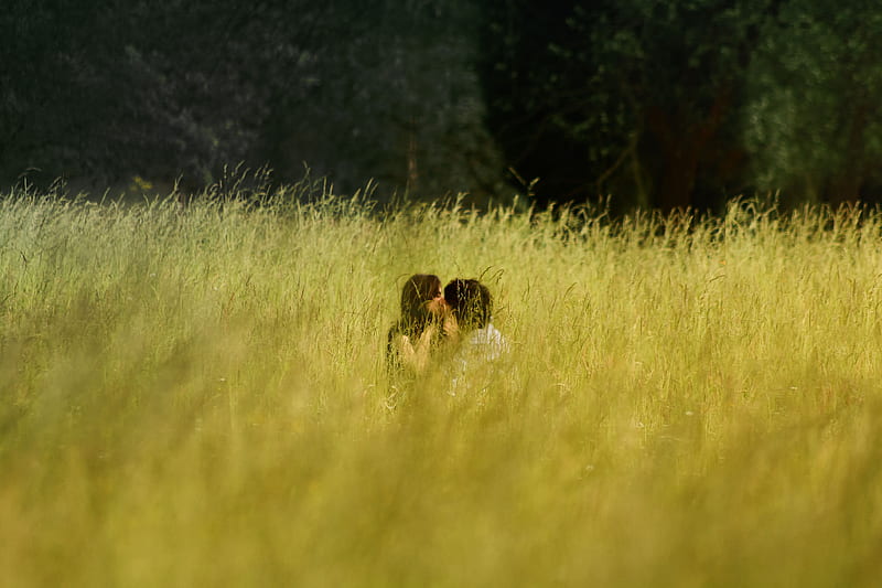man and woman kissing in the middle of a grass field, HD wallpaper
