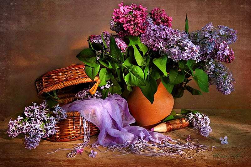 Still Life Lilac Flowers Nature Lilacs Hd Wallpaper Peakpx