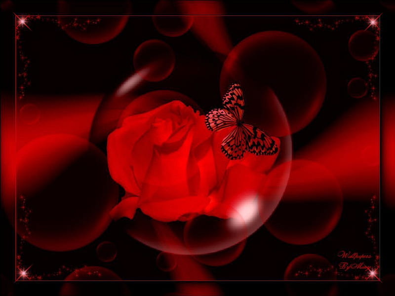Red Rose Fantasy, red, flowers, globes, butterflies, roses, HD wallpaper
