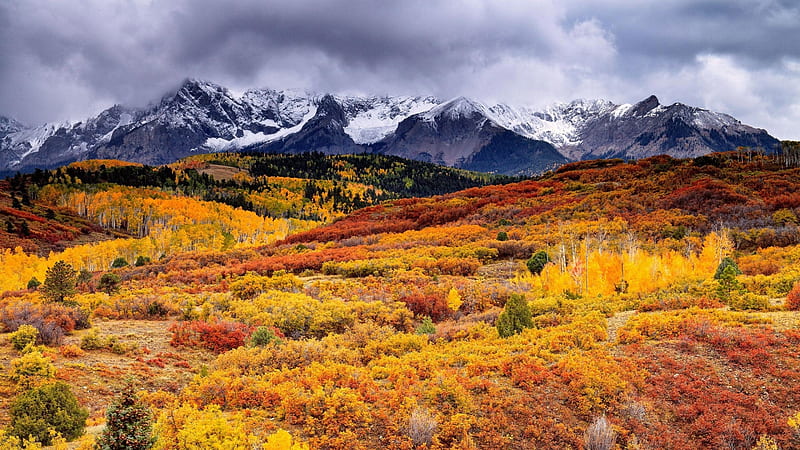 Great Autumn Mountain, mountain, forest, autumn, nature, trees, landscape, HD wallpaper