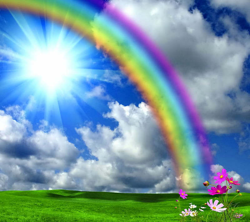 After The Rain, flowers, meadow, rainbow, spring, sunshine, HD wallpaper