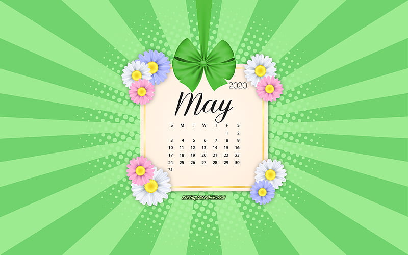 2020 May Calendar, green background, spring 2020 calendars, May, 2020 calendars, spring flowers, retro style, May 2020 Calendar, calendar 2020 with flowers, HD wallpaper