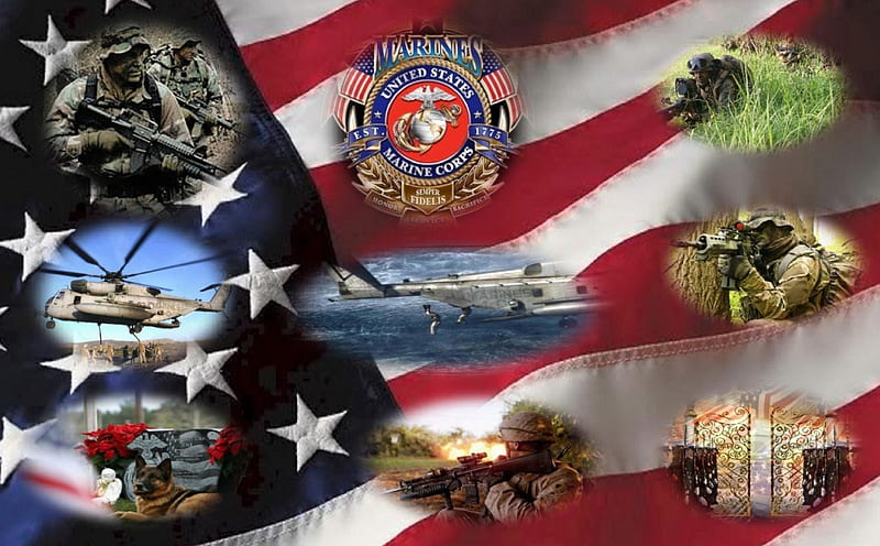 USMC 1st. Recon Bn. 2, recon, marines, marine corps, usmc, HD wallpaper
