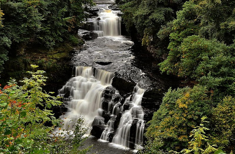 Corra Linn Falls, Scotland, Scotland, Trees, Waterfall, Nature, HD wallpaper