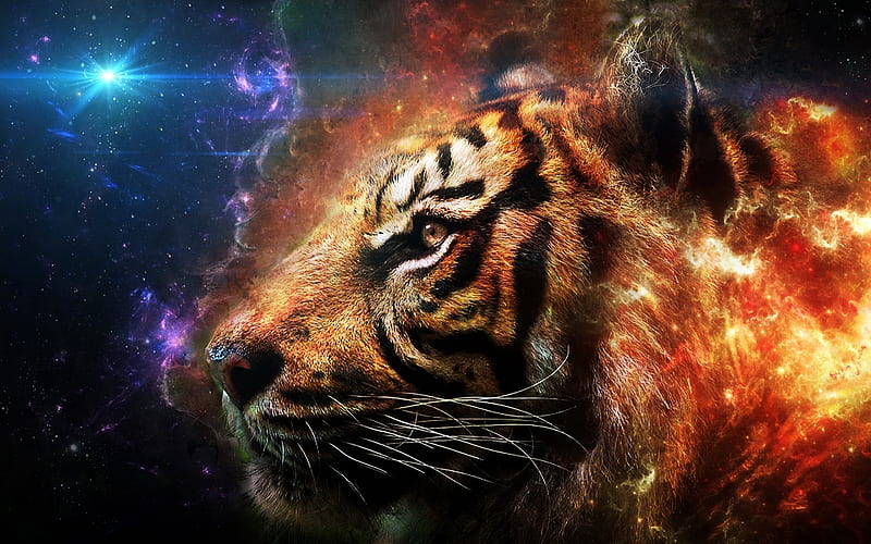 tiger, galaxy, art, predators, tigers, fire, HD wallpaper