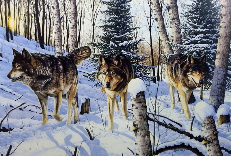 Shadow Ridge, trees, artwork, winter, predator, snow, wolfpack, painting, wolf, wolves, HD wallpaper