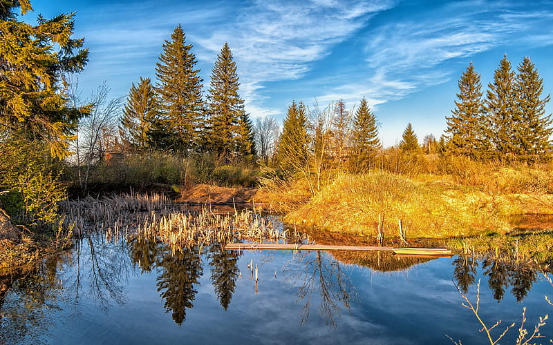 Lake forest trees autumn-, HD wallpaper
