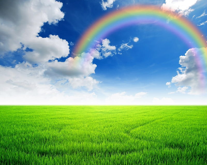 Rainbow field, nature, rainbow, grass, field, HD wallpaper