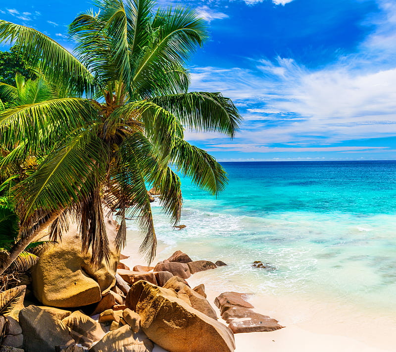 Tropical beach, abstract, landscape, love, nature, view, HD wallpaper ...