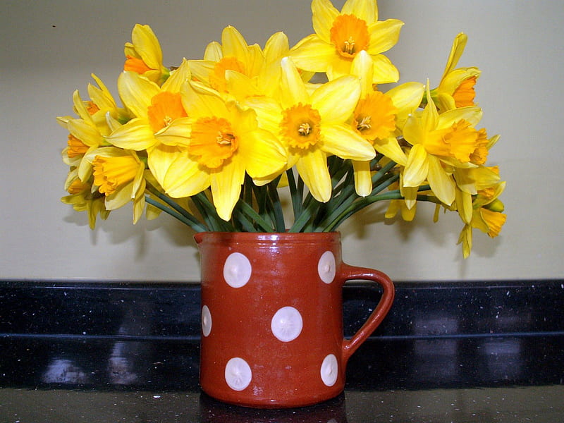 ✿ SunShine Daffodils ✿, red, centerpiece, daffodils, yellow, bonito, easter, spring, polka dots, entertainment, simple, fashion, white, clay cup, HD wallpaper