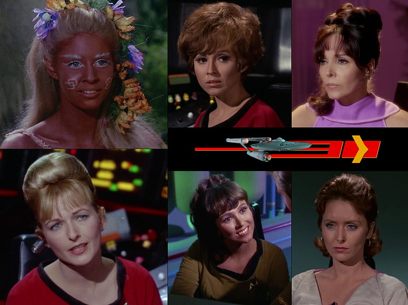 Women from The Original Star Trek 3, Star Trek, Star, Star Trek Women, Martine, Palmer, Trek, Lester, HD wallpaper